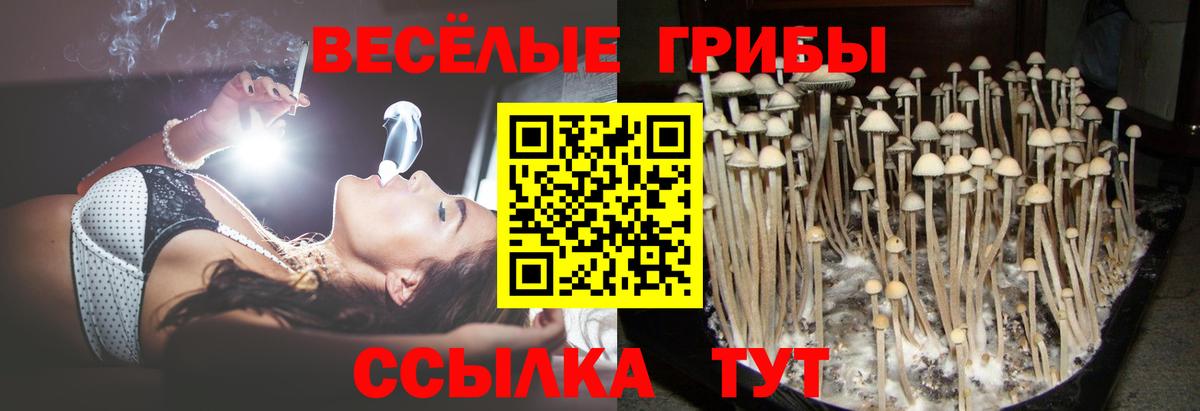 Галлюциногенные грибы прущие грибы  Вход с VPN  Октябрьский 
